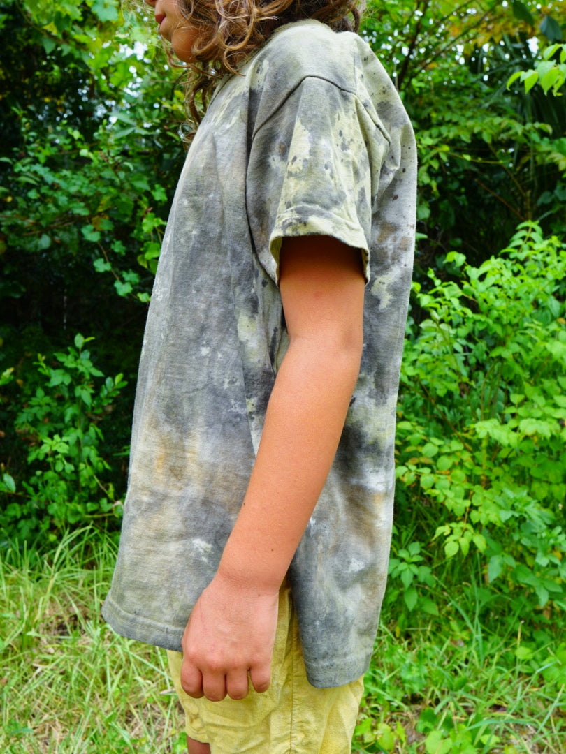 Luz de liquen salvia