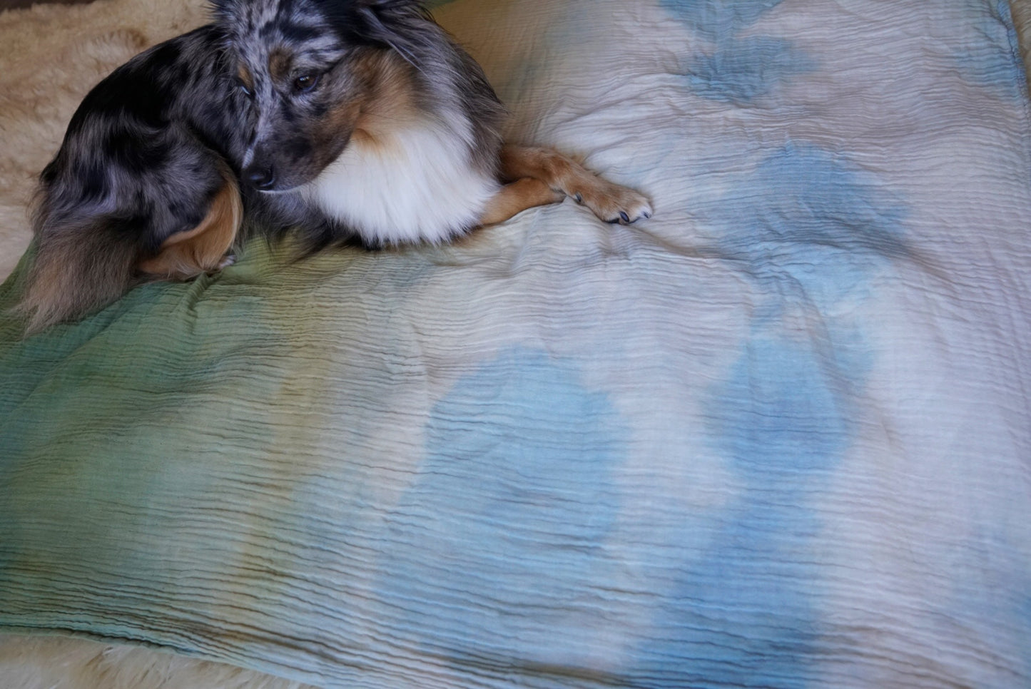 Manta des montagnes nuageuses