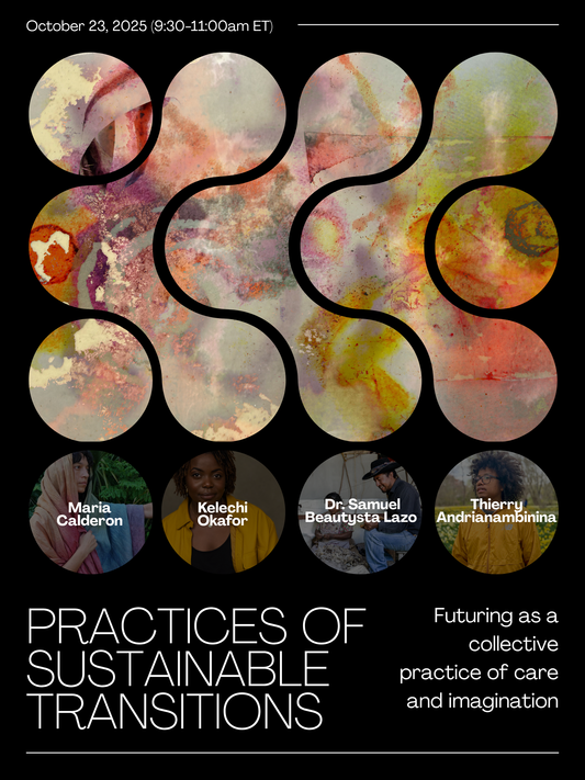 The New School Assembly: Practices of Sustainable Transitions