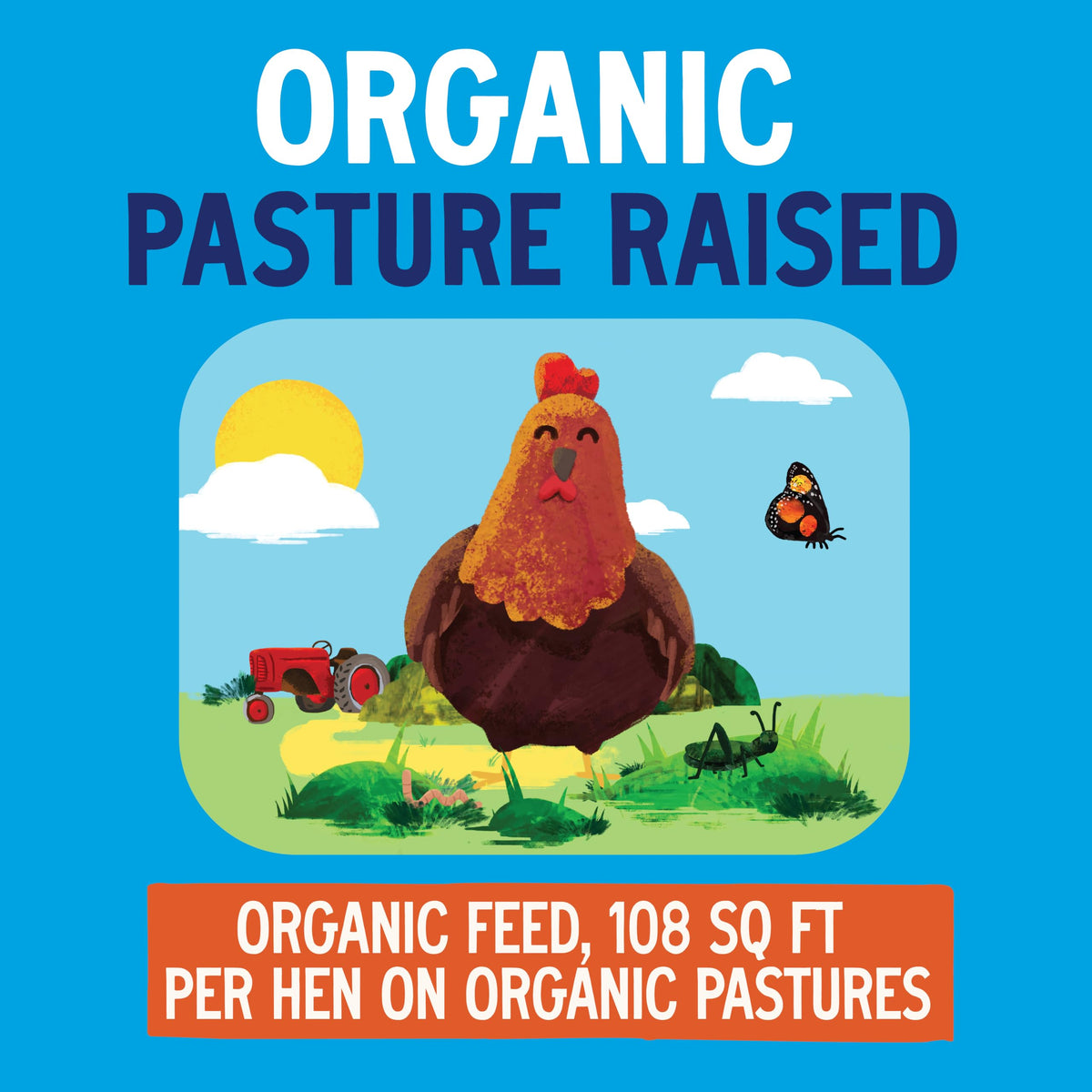 Pete & Gerry's Organic Pasture Raised Eggs Large 12 Ct