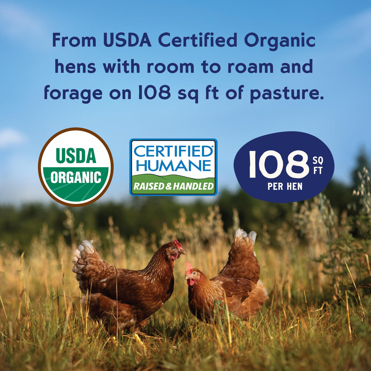 Pete & Gerry's Organic Pasture Raised Eggs Large 12 Ct
