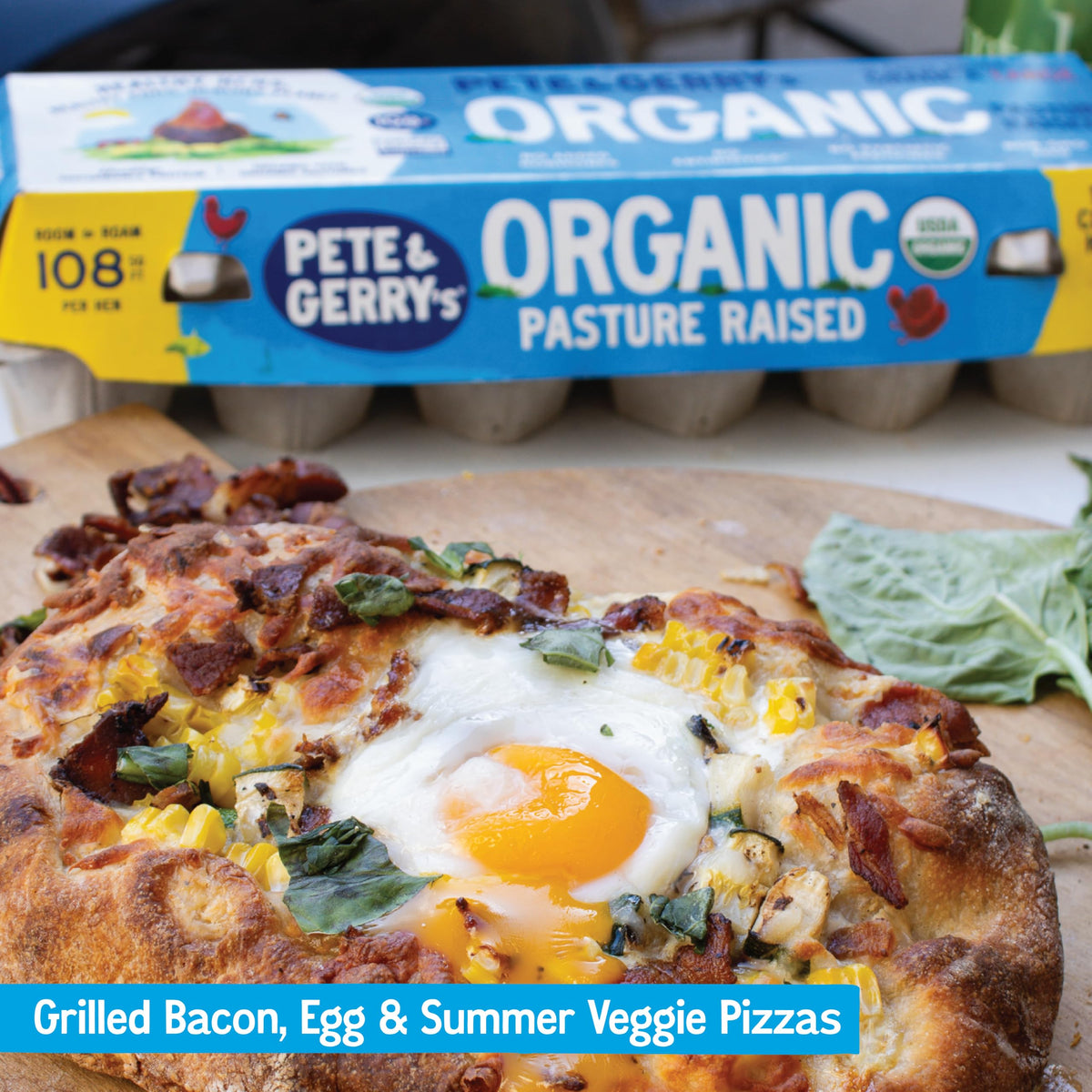 Pete & Gerry's Organic Pasture Raised Eggs Large 12 Ct