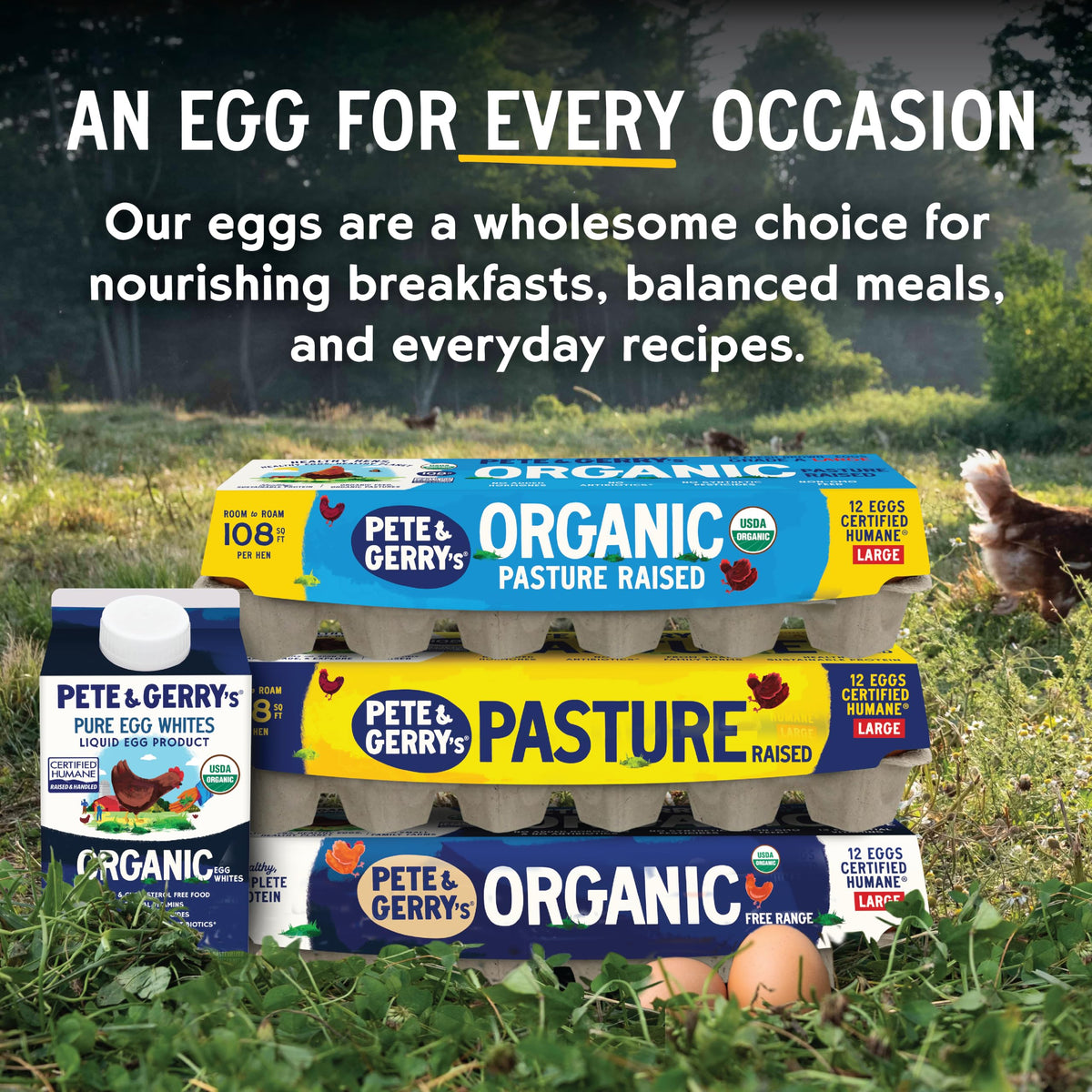 Pete & Gerry's Organic Pasture Raised Eggs Large 12 Ct
