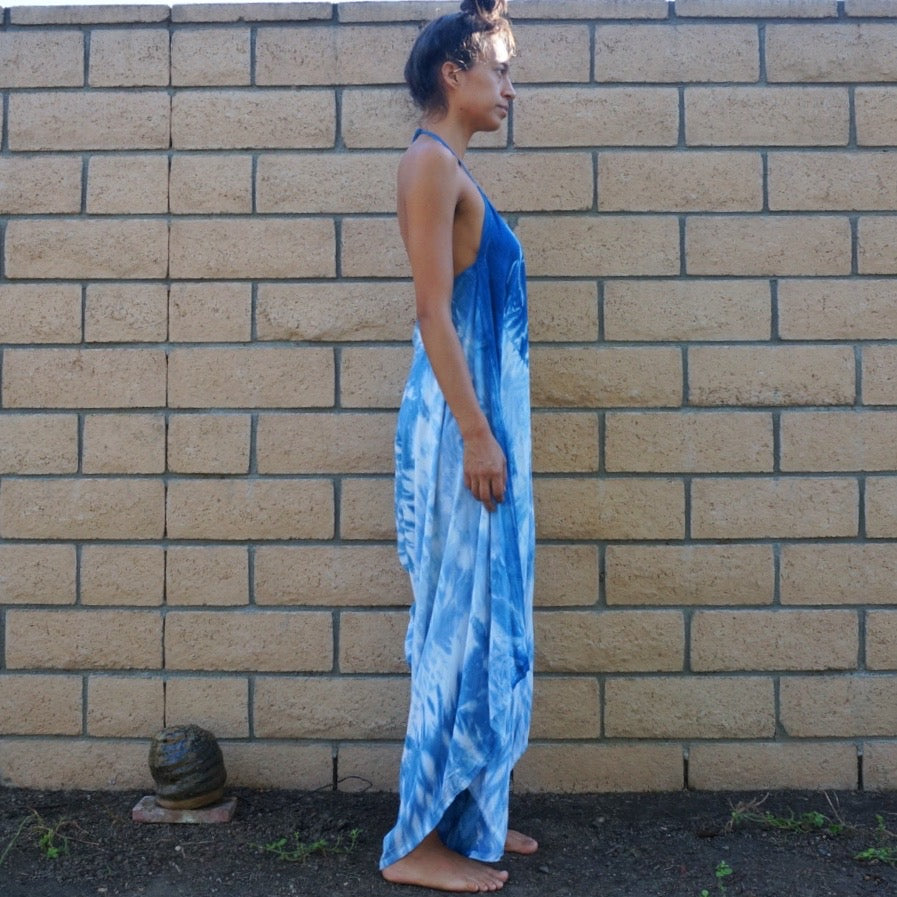 Indigo Arashi